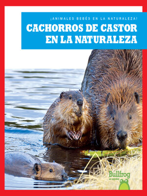 cover image of Cachorros de castor en la naturaleza (Beaver Kits in the Wild)